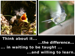 idea of waiting to be taught versus being willing to learn .