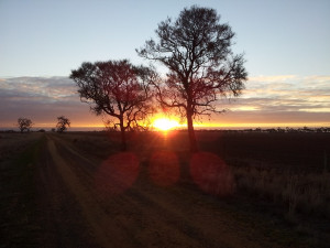 sunset landscapes australia countryside land farmland country road ...