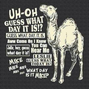 Hump Day! I rested up just for this day! LOL