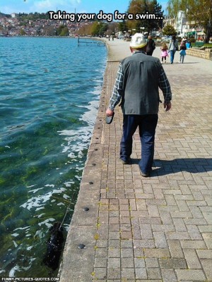 Old man taking his dog for a swim