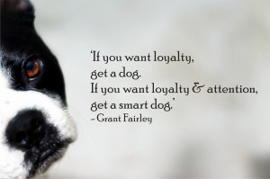 ... want loyalty and attention, get a smart dog - Quote by grant fairley