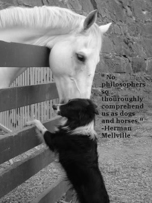 The essential joy of being with horses is that it brings us in contact ...