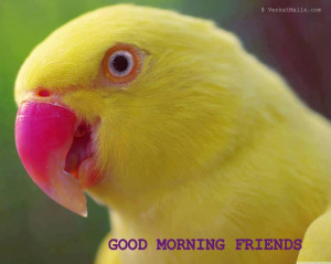 Happy Monday | Have a nice week ahead | Daily Jokes & Stories