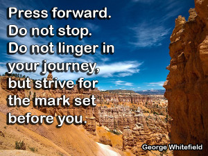 Quote by George Whitefield