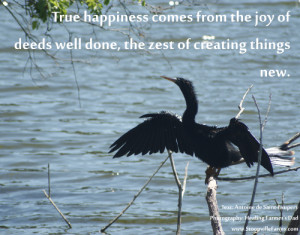 True happiness comes from the joy of deeds well done, the zest of ...