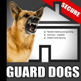Dogs - Random Barking and Growling Dog Sounds for Added Home Security ...