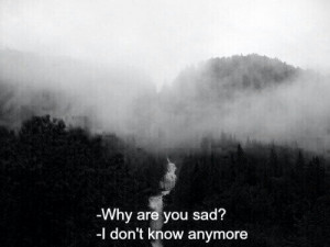 don’t know anymore.