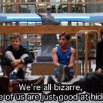 we re all pretty bizarre top 14 best gifs quotes