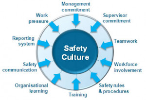 Safety Culture Workshop