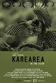 Karearea: The Pine Falcon