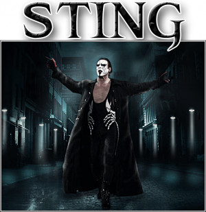 2010 Just what does the future hold of Sting in TNA Wrestling , Sting ...