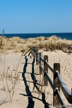 Cape Cod