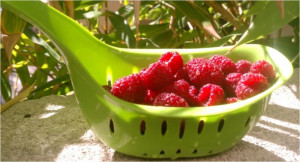 Health benefits of Raspberries….