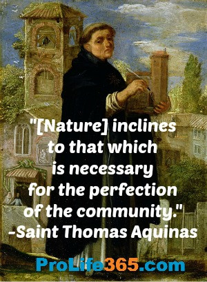 Homosexual “Marriage” and Natural Law: Saint Thomas Aquinas