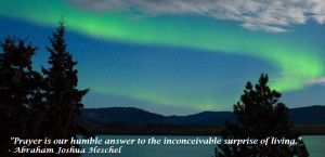 Northern Lights + Quote4