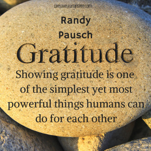 Showing gratitude is one of the simplest yet most powerful things ...