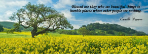 cover photos of flowers for facebook timeline with quotes GSoSKuX9