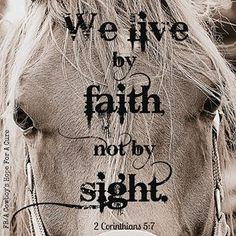 ... Faith and not by sight. Bible verse reminder. Beautiful horse's face