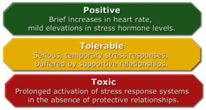 Chart describing the three types of stress response: positive ...