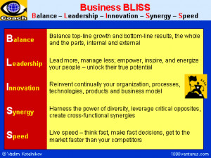 Business BLISS: Balance, Leadership, Innovation, Synergy, Speed