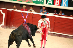 Bull Fighting In Mexico