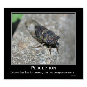 Perception Beauty Cicada Motivational Quote Poster