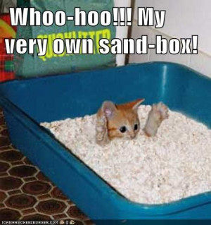 Whoo-hoo!!! My very own sand-box!
