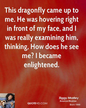 Ziggy Marley Quotes