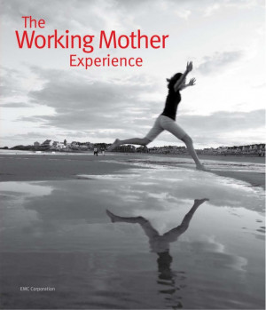 eBook: The Working Mother Experience