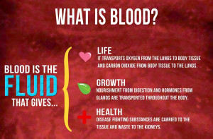 blood donation infographics