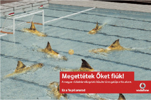 funny save water quotes