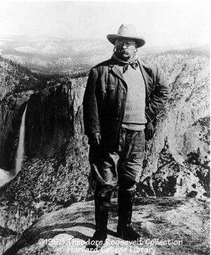 Theodore Roosevelt