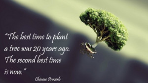 Inspirational Quotes and Sayings_19