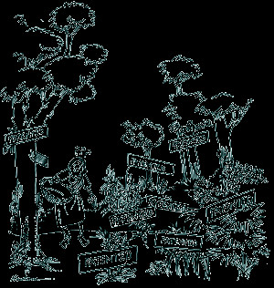 ... traditional plants and herbs unknowingly patented and can no longer be