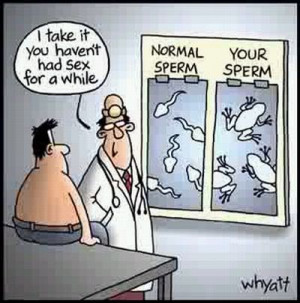 All Graphics » jokes