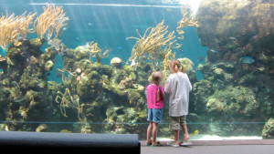 Alaska Cruise Vacations Are