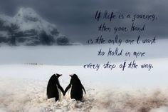 If life is a journey then your hand is the only one I want to hold in ...