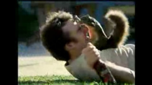 download its about Bud Lite Squirrel Attacks Man With Acorn Over Beer ...