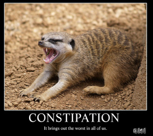 Cat Constipation funny picture - pYzam