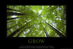 ... human capacity for intelligence, imagination, and wonder.