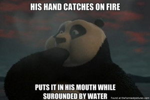 Kung Fu Panda 2 Logic
