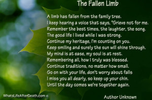 The Fallen Limb