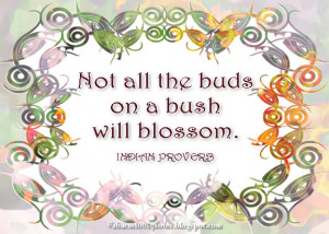 Not all the buds on a bush will blossom.