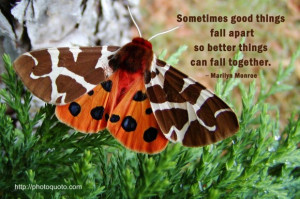 Sometimes good things fall apart so better things can fall together ...