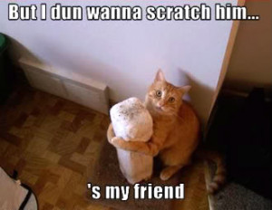 http://www.pics22.com/but-i-dun-wanna-scratch-him-cat-quote/