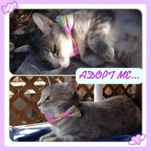 Distrust All Those Who Love