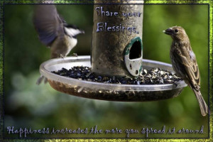 Uploaded to Pinterest