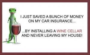 Thinking about Buying a Wine Fridge? Read This First!