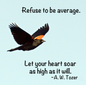 Red-winged blackbird