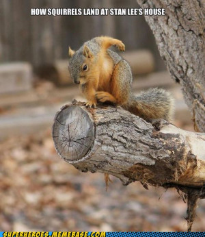 Media RSS Feed Report media At Stan Lees house (view original)